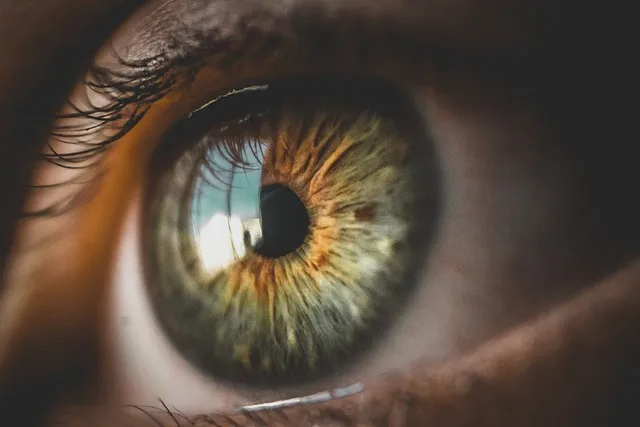Détail d'un iris pour la thérapie IMO avec Isabelle Guitard, hypnothérapeute
