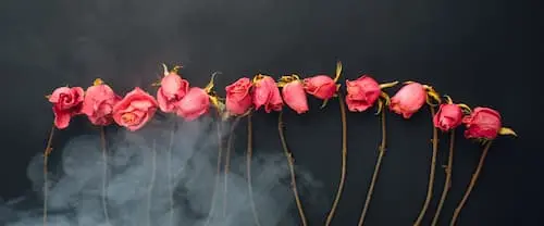 Une rangée de roses fanées et dépérissant au milieu d'une épaisse fumée de cigarette stagnante, symbolisant les ravages de la dépendance au tabac.